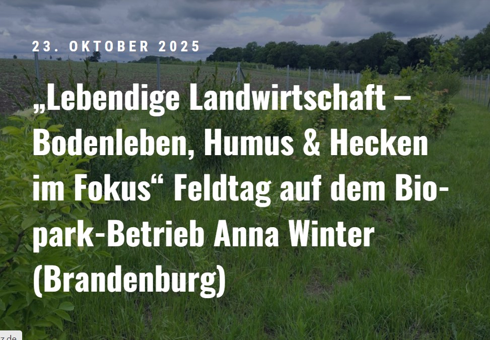Feldtag bei Anna Winter